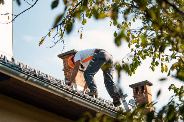 Best Storm Damage Roof Repair  in Takoma Park, MD