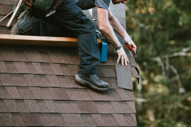 Best Shingle Roofing Installation  in Takoma Park, MD