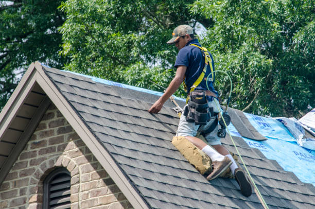 Best Commercial Roofing Services  in Takoma Park, MD